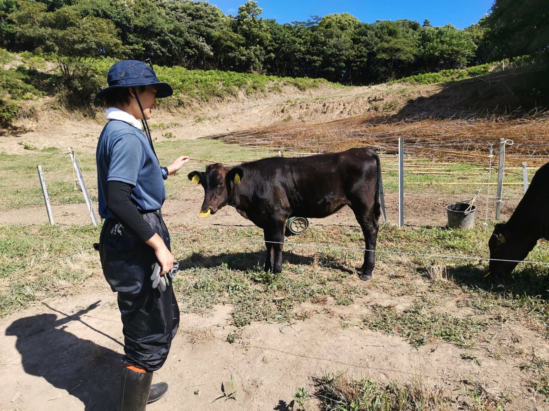 【中古】 地域活性化への挑戦 地域経営と民間活力の活用/ぎょうせい/地方自治経営学会 地域活性化の成功事例 - Genspark