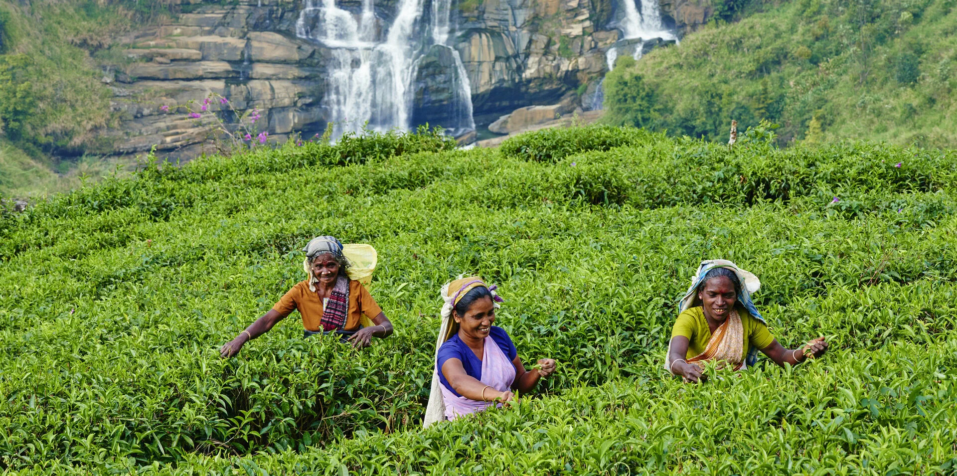 危機からの脱却を図るスリランカとの絆｜JICA MAGAZINE | 広報誌 JICA