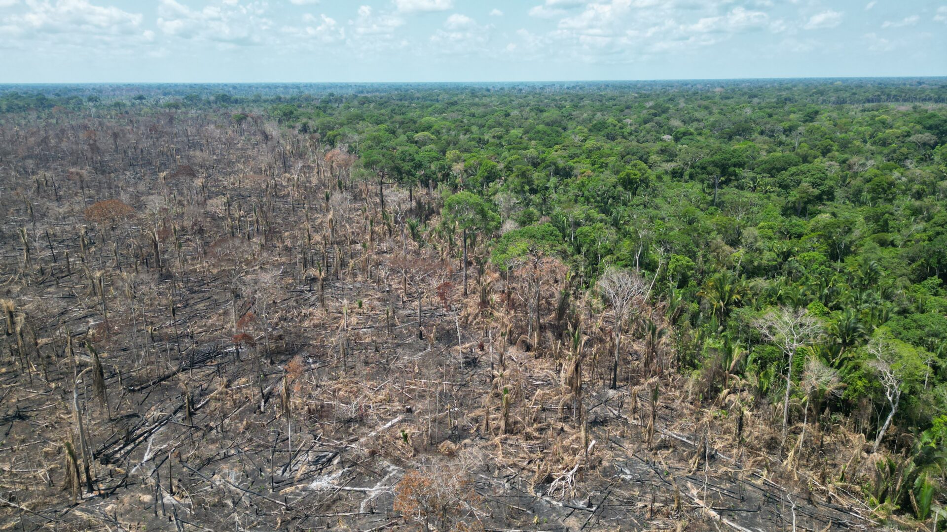 先端技術と住民主導の資源管理でアマゾン熱帯雨林を守る【ブラジル
