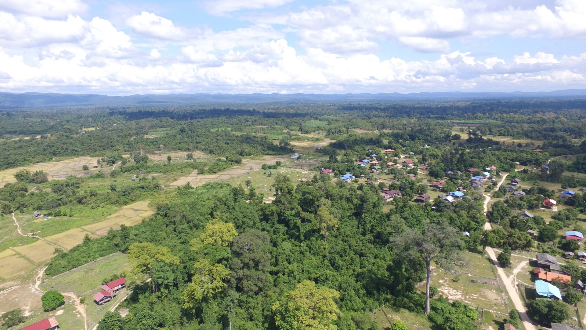 REDD+を活用してラオスの森林を保全する｜JICA MAGAZINE | 広報誌 JICA